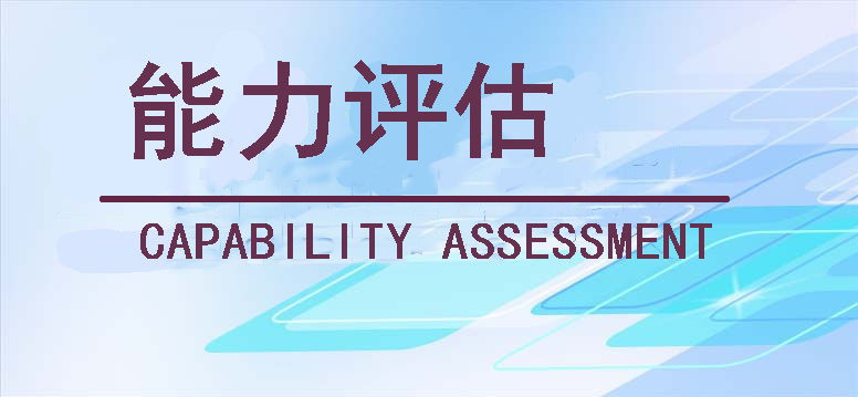 能力评估